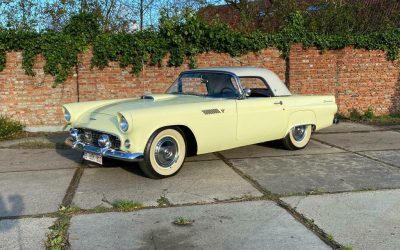 1955 Ford Thunderbird 292 V8